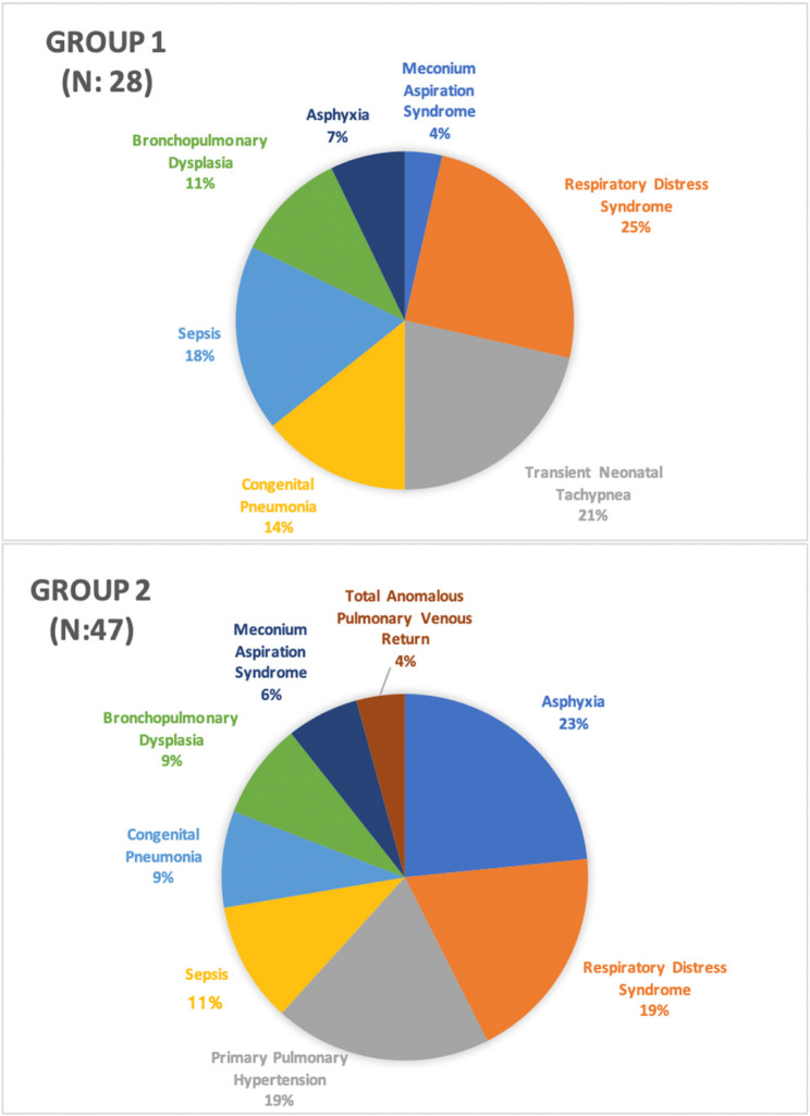 Neonatal pulmonary hypertension in the NICU: a 10-year single-center experience.