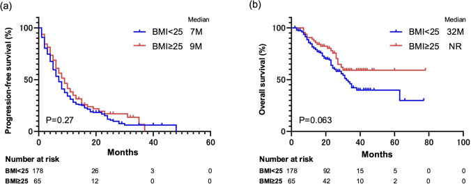Impact of body mass index on the efficacy of immune combination therapy in metastatic renal cell carcinoma: a multicenter study in Japan.