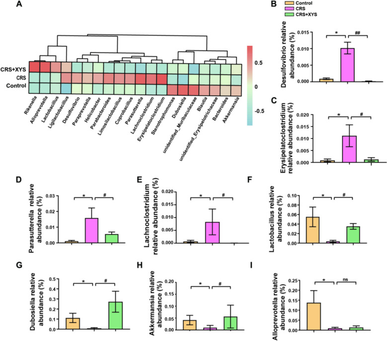 Xiaoyaosan modulates gut-brain metabolic pathways and brain microstructure in depression: a multi-omics insight.