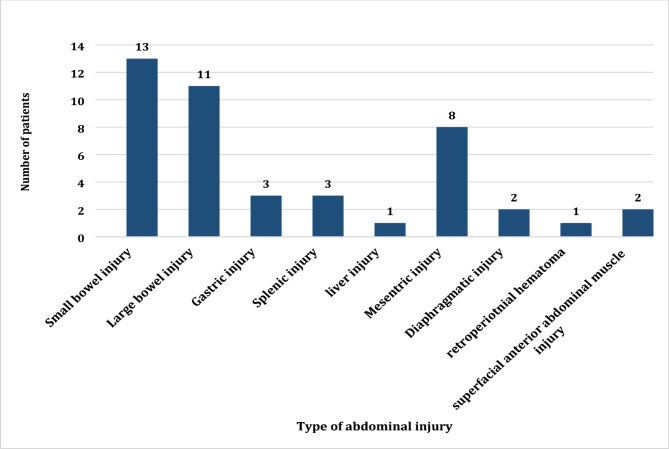 Clinical presentation and management outcome of abdominal stab wounds in a low-resource setting: experience of a central hospital in Sudan.