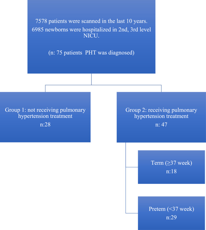 Neonatal pulmonary hypertension in the NICU: a 10-year single-center experience.