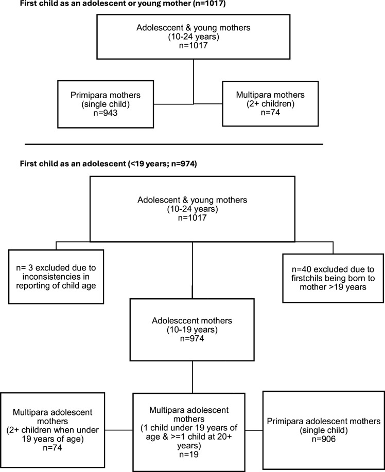 Not one but two: cross-sectional associations among repeat pregnancy, maternal mental health and child cognitive outcomes among adolescent and young mothers in South Africa.