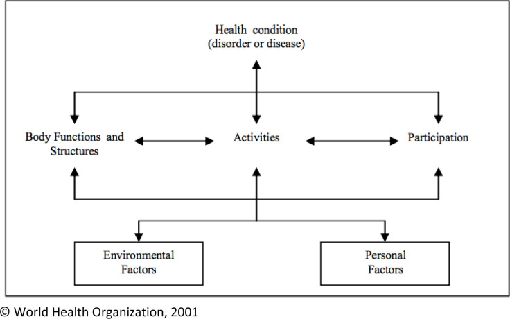Using the 'F-words' to adopt a holistic and child rights promoting approach in developmental assessment clinics in Sydney: a quality improvement study.