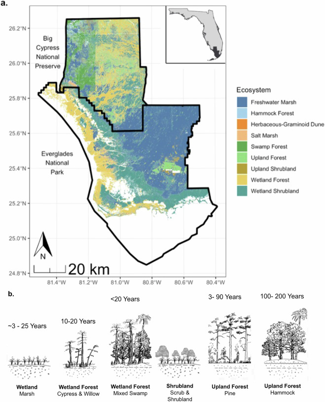 Contemporary Fire Regimes of the Subtropical Everglades.