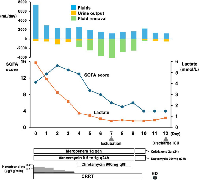 Tattoo-associated toxic shock syndrome: a case report.