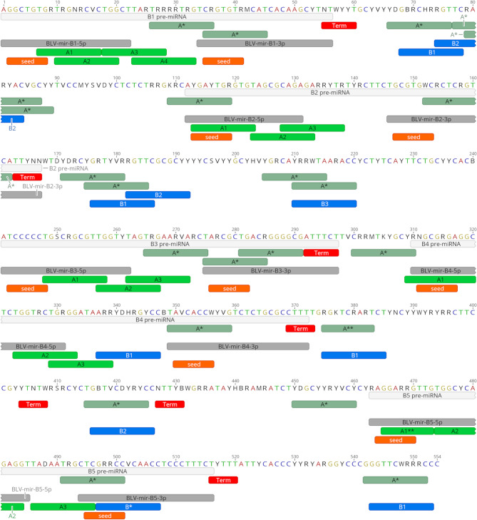 Identification of novel RNA polymerase III promoters in bovine leukemia virus miRNA cluster by cross-taxa analysis of small non-coding RNAs.
