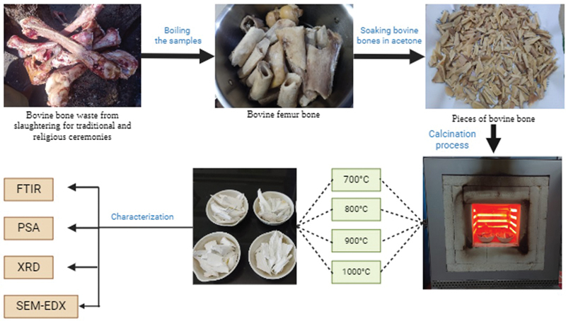 Extraction and Characterization of Aceh Bovine Bone-Derived Hydroxyapatite for Applications in Dentistry.
