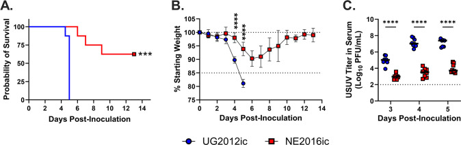 Naturally occurring mutations in envelope mediate virulence of Usutu virus.