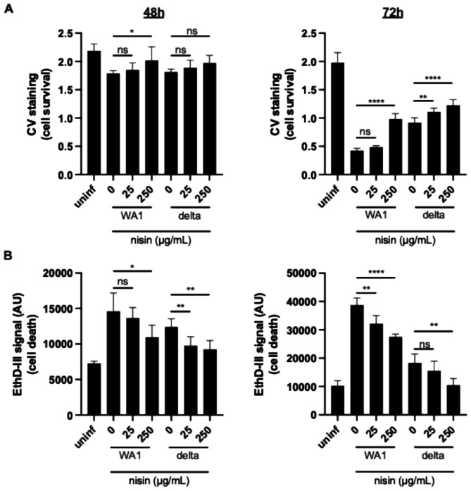 The antimicrobial peptide nisin promotes host cell survival during SARS-CoV-2 infection.