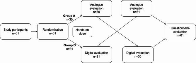 Orthodontic diagnosis and usability of the web-based e-learning application orthotrainer.