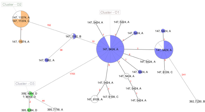 NDM-1 plasmid clustering reflects clonal transmission of Klebsiella pneumoniae ST147 in four hospitals in Berlin, Germany.