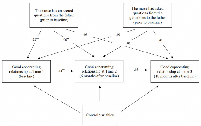 Nurses' interactions shape coparenting relationships during early parenthood: a longitudinal study of fathers with infants in Sweden.