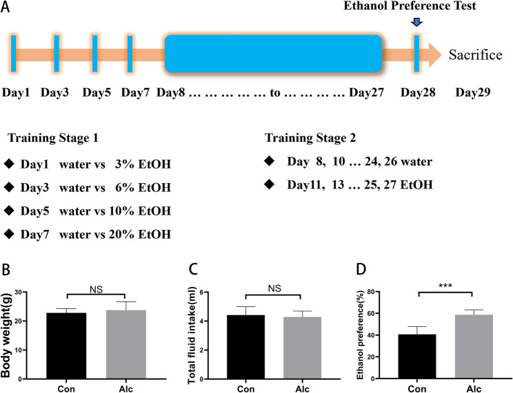 Alcohol exposure significantly influences gene expression in the hypothalamus, highlighting complex links with gonadotropin-releasing hormone signaling and thyroid hormone production in adolescent mice.