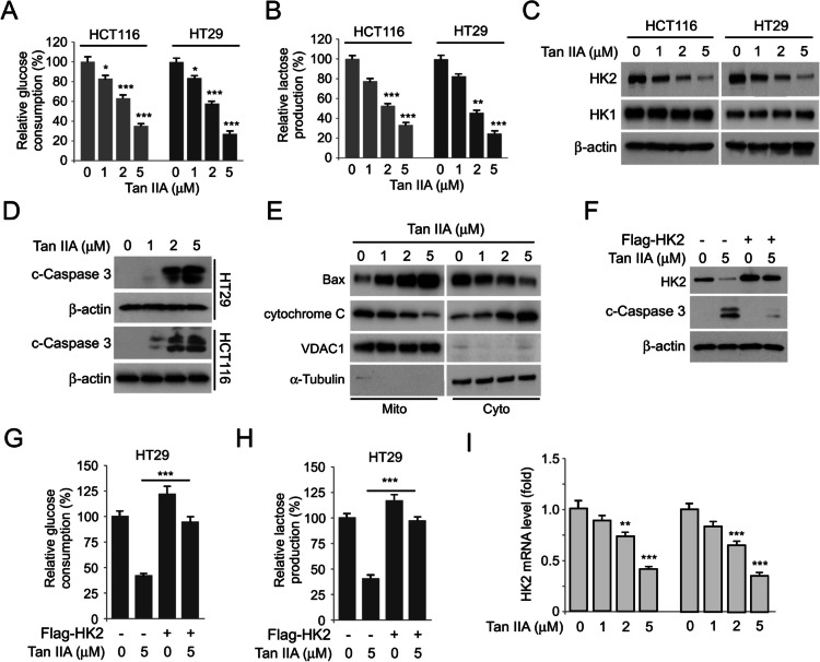 Targeting Skp2 by Tanshinone IIA overcomes chemoresistance in colorectal cancer.