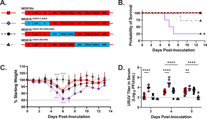 Naturally occurring mutations in envelope mediate virulence of Usutu virus.