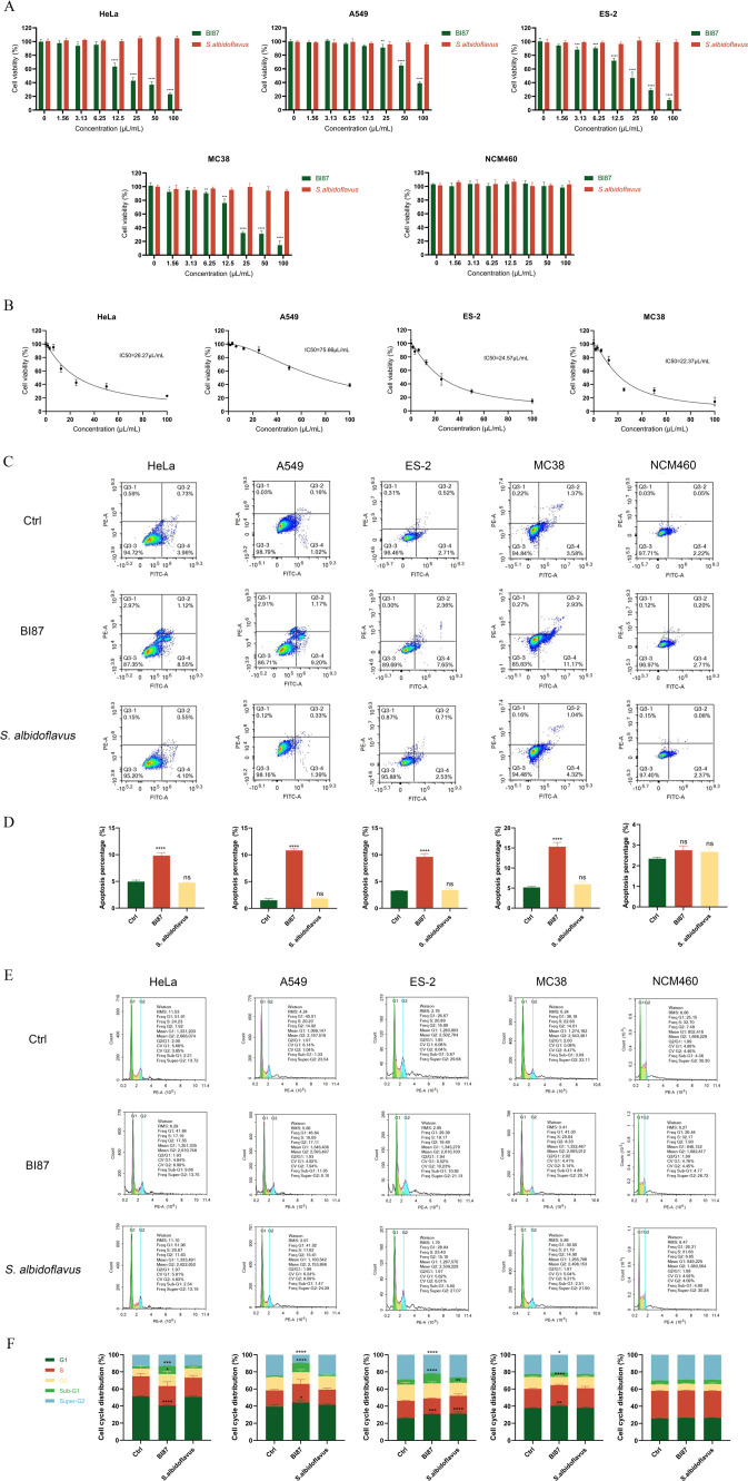 <i>Streptomyces</i> sp. BI87 from human gut: potent anticancer activities and divergence from known <i>Streptomyces</i> lineages.