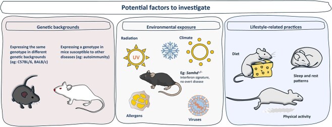 Mouse models of type I interferonopathies.
