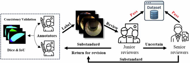 Spine endoscopic atlas: an open-source dataset for surgical instrument segmentation.