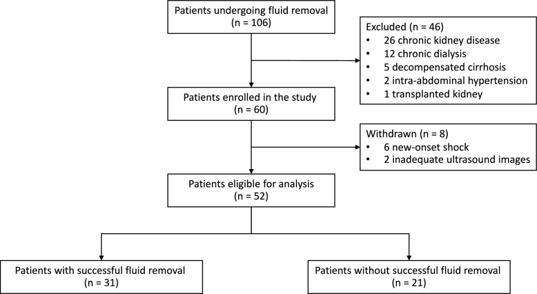 Intrarenal venous flow patterns and their association with successful fluid removal in critically ill patients: a prospective observational exploratory study.