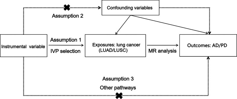Association between different types of lung cancer and neurodegenerative diseases: A two-sample Mendelian randomization study.