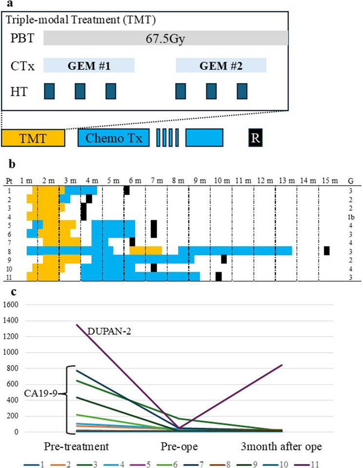Safety and pathological impact of resection after high-dose PBT for locally advanced pancreatic cancer.