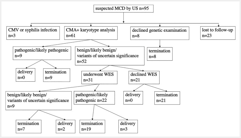 Relationship between prenatal ultrasound signs and genetic abnormalities for fetal malformations of cortical development.