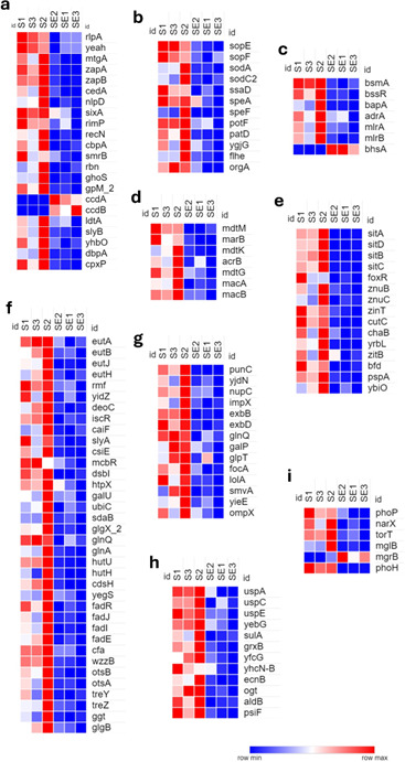 Commensal <i>Escherichia coli</i> inhibits the growth and modulates the fitness, virulence, and antimicrobial resistance of <i>Salmonella</i> Heidelberg <i>in vitro</i>.