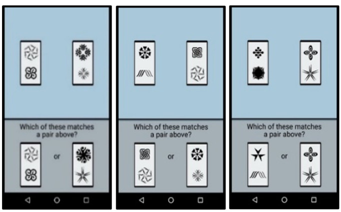 Supporting Individuals With Cognitive Impairment and Family Members in Rural Communities: Protocol for a Mixed Methods Digital Health Study.