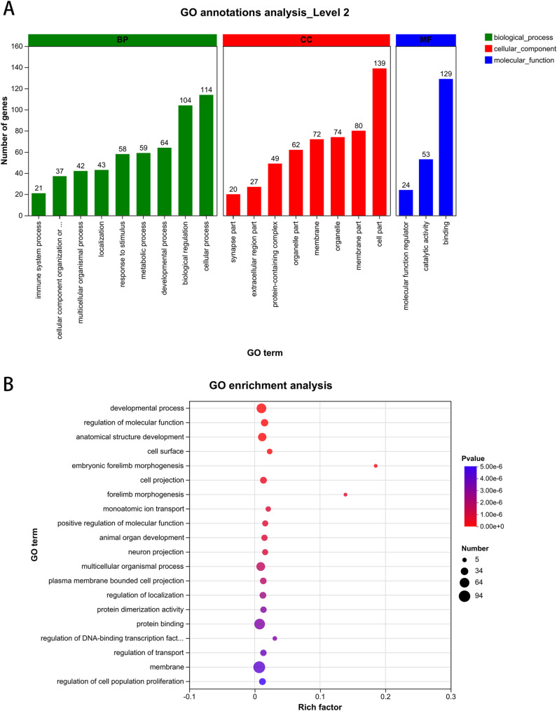 Alcohol exposure significantly influences gene expression in the hypothalamus, highlighting complex links with gonadotropin-releasing hormone signaling and thyroid hormone production in adolescent mice.