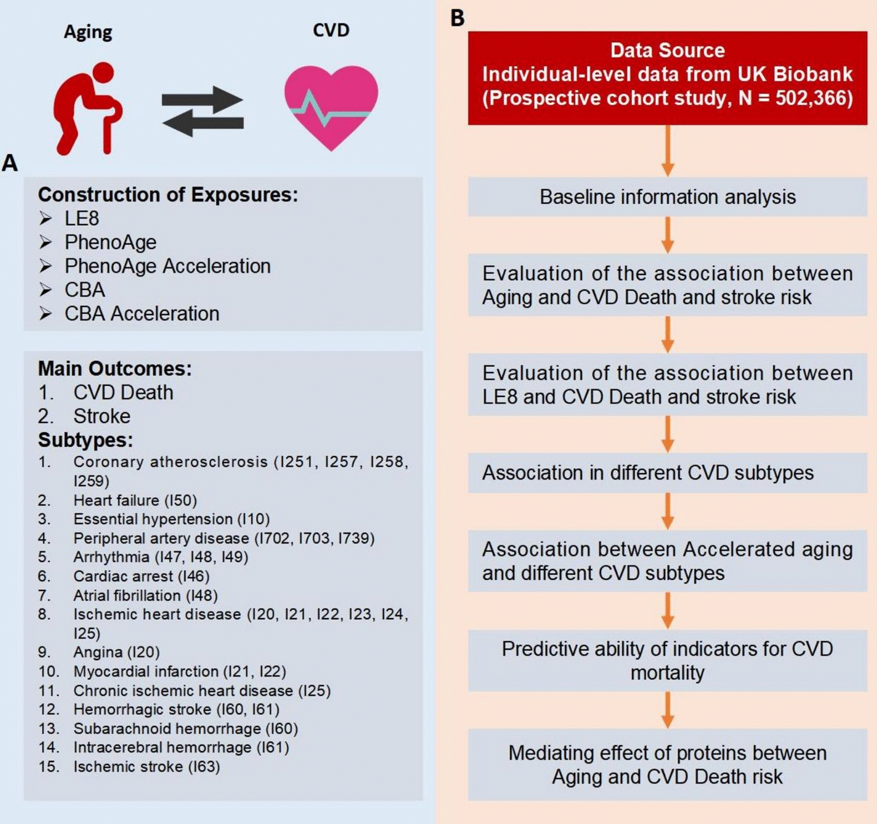 Life's Essential 8, phenotypic age, and cardiovascular age in prediabetes: predictive value in the UK Biobank and protein mediation in cardiovascular-diabetes comorbidity.