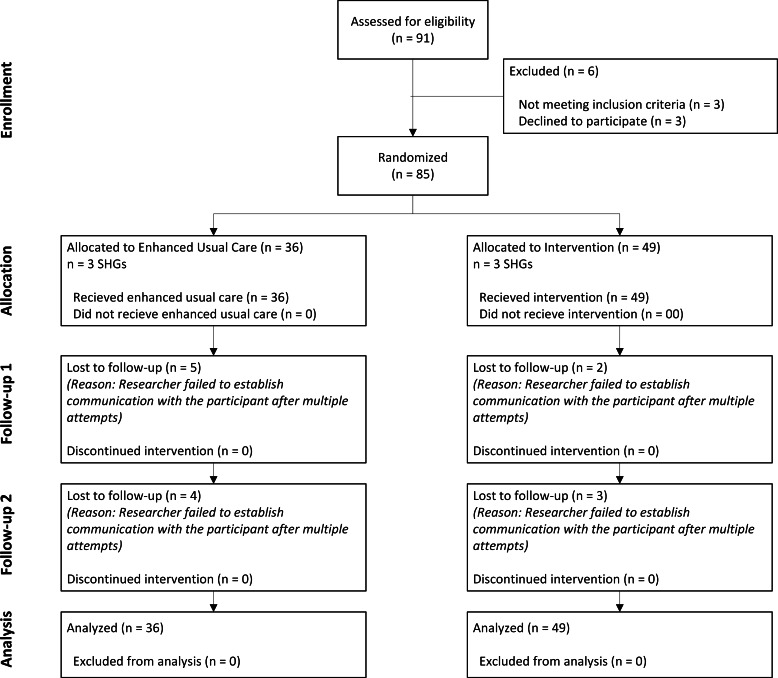 Multiuser Application for the Diagnosis and Treatment of Depression in Women's Self-Help Groups: Pilot Randomized Controlled Trial.