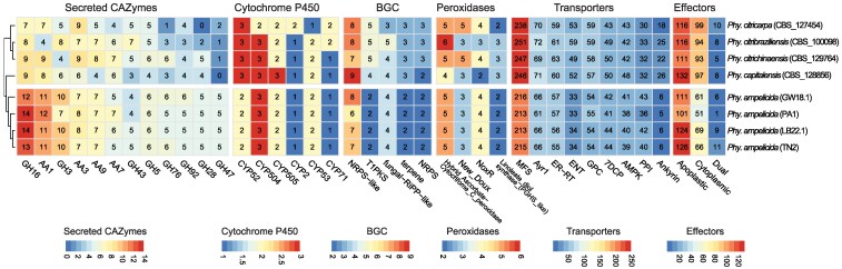Genomic insights into the virulence repertoire and hemibiotrophic lifestyle of the grapevine black rot pathogen Phyllosticta ampelicida.