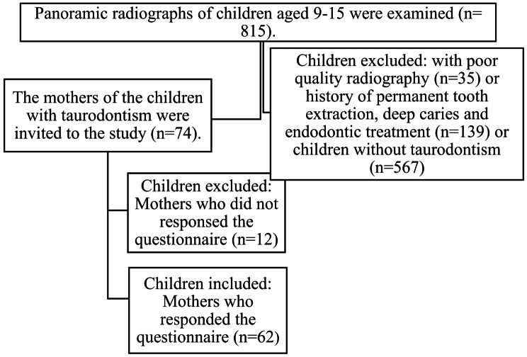 Taurodontism and related dental anomalies: influence of maternal, prenatal, and postnatal factors in pediatric patients.