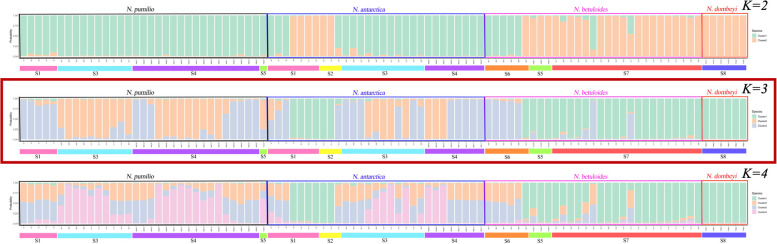 Low population genetic structure in five Chilean Nothofagus species and high fluctuating asymmetry in Nothofagus pumilio x N. antarctica putative hybrids.