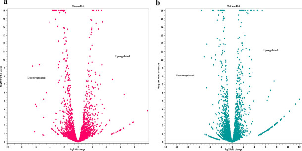 Commensal <i>Escherichia coli</i> inhibits the growth and modulates the fitness, virulence, and antimicrobial resistance of <i>Salmonella</i> Heidelberg <i>in vitro</i>.