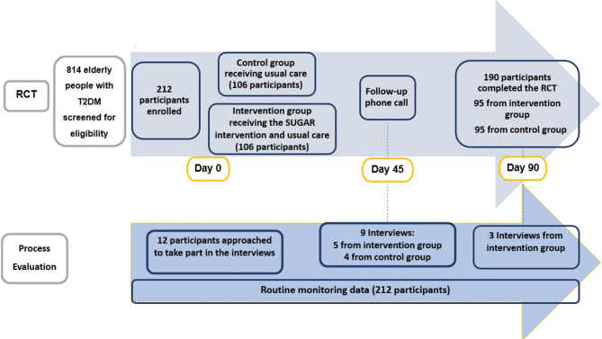 The SUGAR handshake intervention to prevent hypoglycaemia in elderly people with type 2 diabetes: process evaluation within a pragmatic randomised controlled trial.