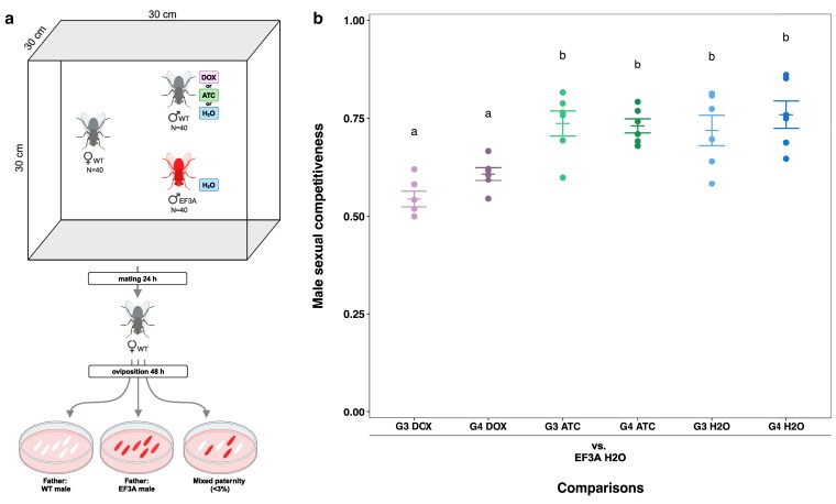 Direct and transgenerational effects of tetracyclines on the microbiome, transcriptome, and male mating behavior of the sheep blowfly Lucilia cuprina.