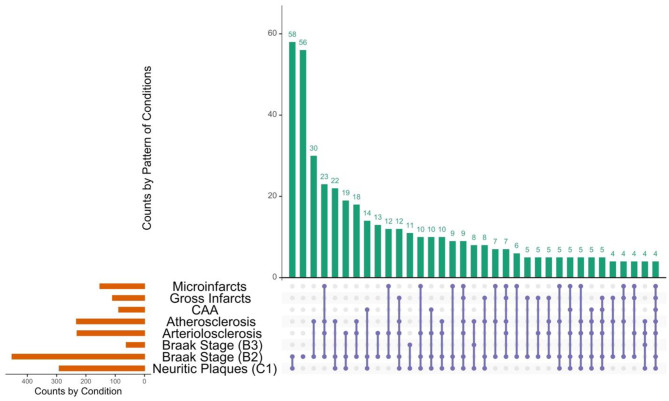 Micro infarcts are associated with cognitive impairment in neurofibrillary tangle predominant decedents: evidence from the NACC autopsy cohort.