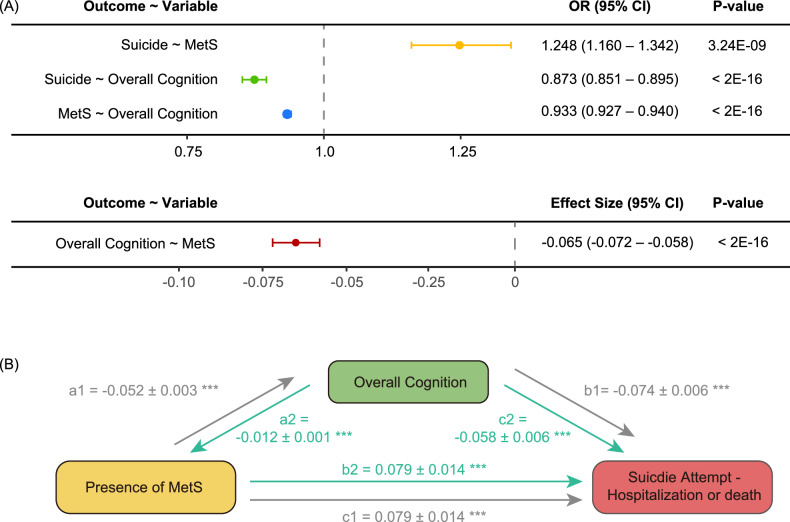 Metabolic syndrome increases the risk of suicide attempt: evidence from a population-based cohort and genomic analysis.