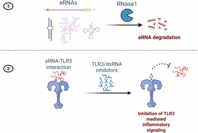 Sterile inflammation in MASH: emerging role of extracellular RNA and therapeutic strategies.