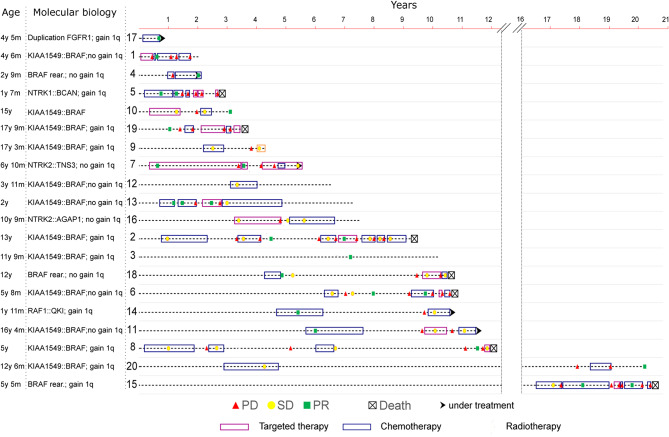 Diffuse leptomeningeal glioneuronal tumour: molecular diagnosis, evolution and treatment.