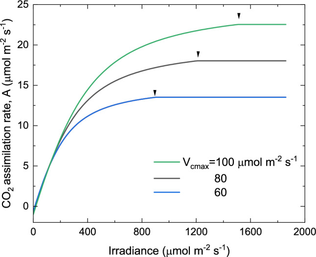 A perspective: A biochemical model of photosynthetic CO<sub>2</sub> assimilation in leaves of C<sub>3</sub> species (Planta 149, 78-90).