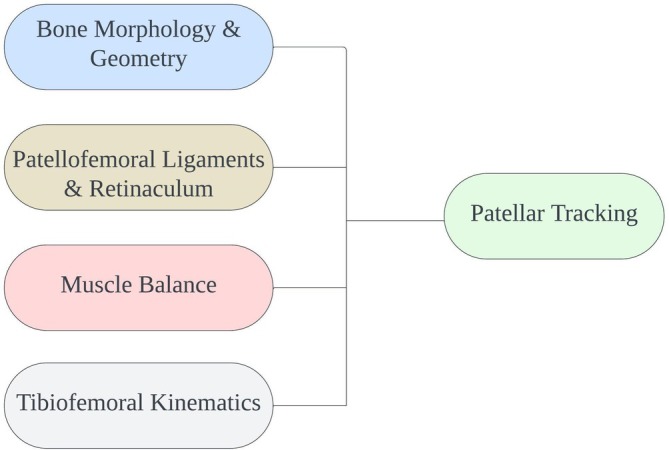 Approach to Patellar Dislocation Treatment: Review and Prospects.