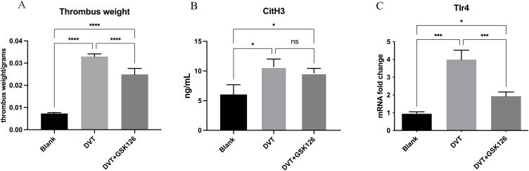 The EZH2 Inhibitor GSK126 Alleviates Thromboinflammation in Deep Vein Thrombosis by Suppressing TLR4 Signaling via H3K27me3 Modulation.