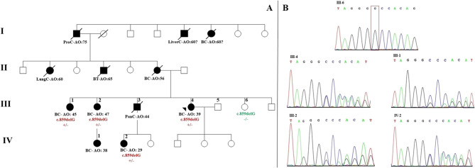 Mono-allelic MUTYH mutation as the likely inherited etiology of hereditary breast cancer in a patient from a multi-cancer family- report of a family and literature review.