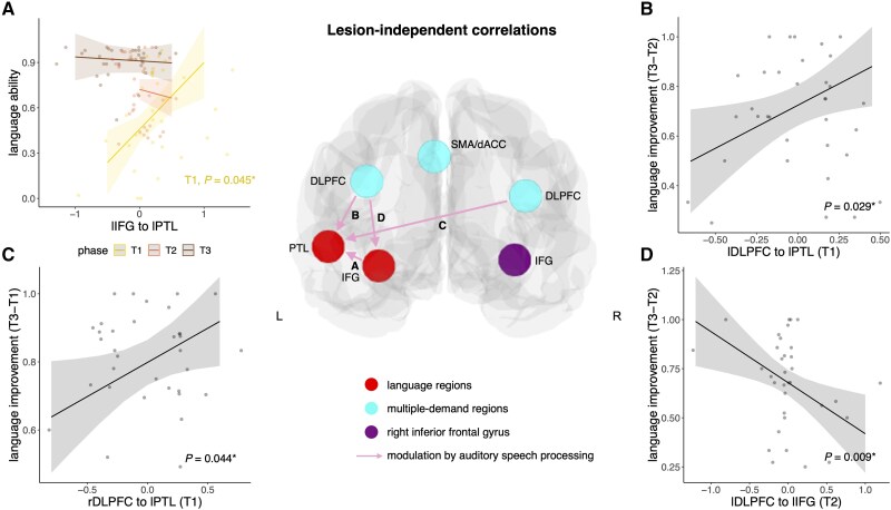Dynamic reorganization of task-related network interactions in post-stroke aphasia recovery.