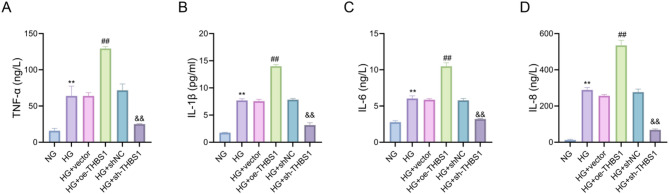 THBS1 regulates the function and insulin sensitivity of HTR8/SVneo cells treated with high glucose through the RhoA/ROCK1 signaling pathway.