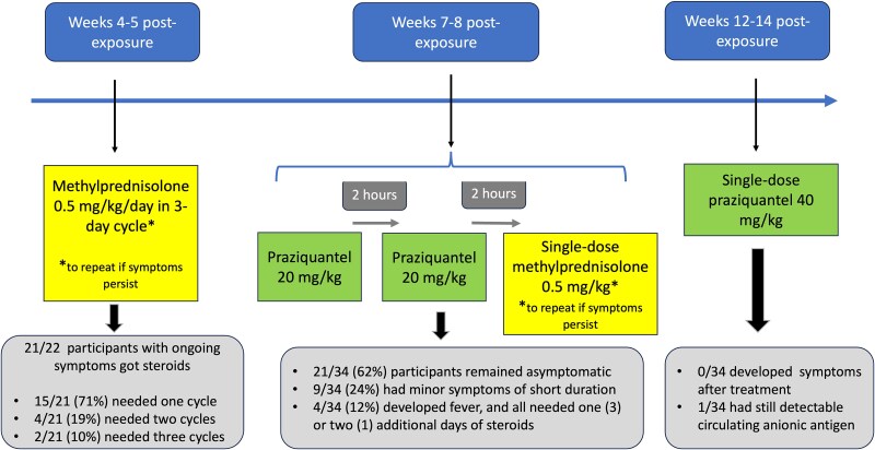 Acute schistosomiasis in travellers: outcomes of a short-course therapy.