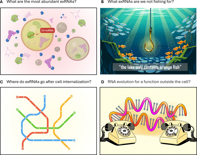 mGem: Guides or triggers? Extracellular RNAs beyond vesicular miRNAs.