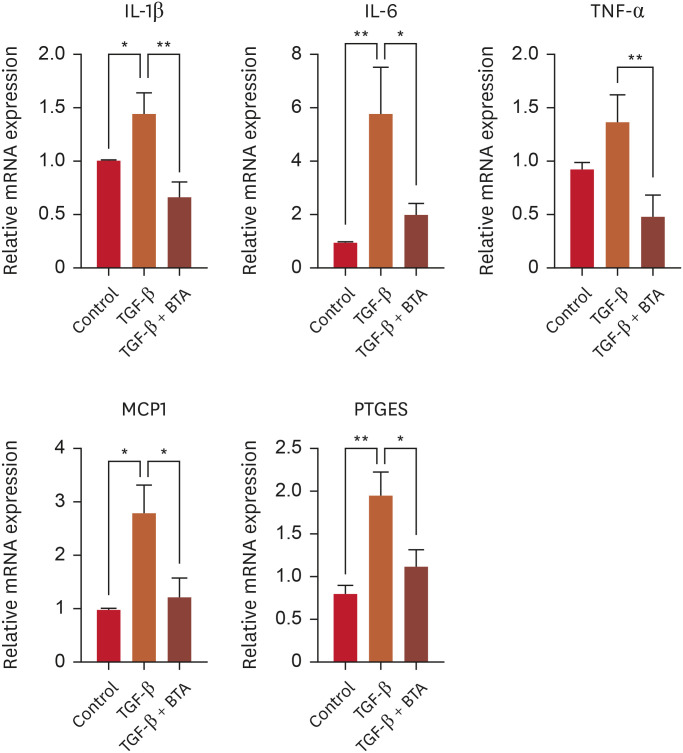 Botulinum Toxin A Modulates Keratinocyte Proliferation and Inflammatory and Pruritic Mediators in Wound Healing.
